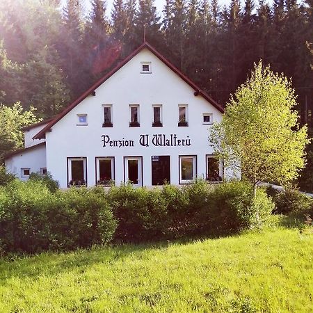 Penzion U Walteru Йозефув-Дул Экстерьер фото